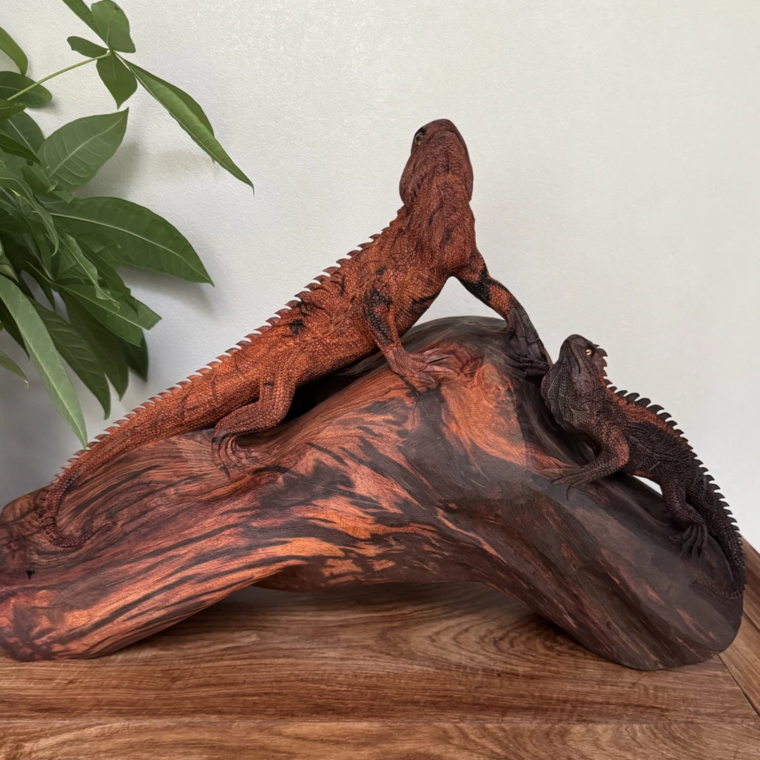 大红酸枝交趾黄檀工艺品摆件家具装饰饰品53*20*35公分重18.85斤