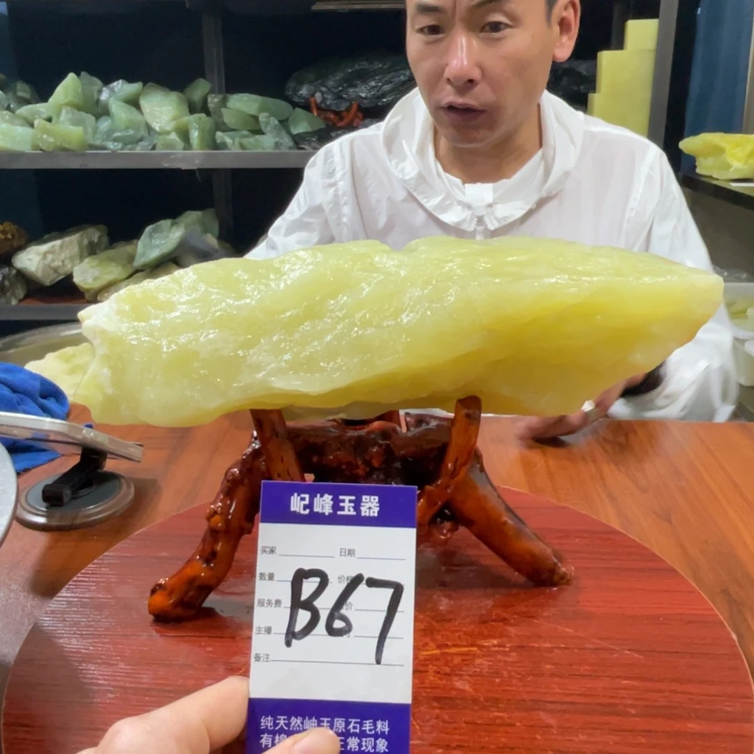 蛇纹石玉未镶嵌原石B67