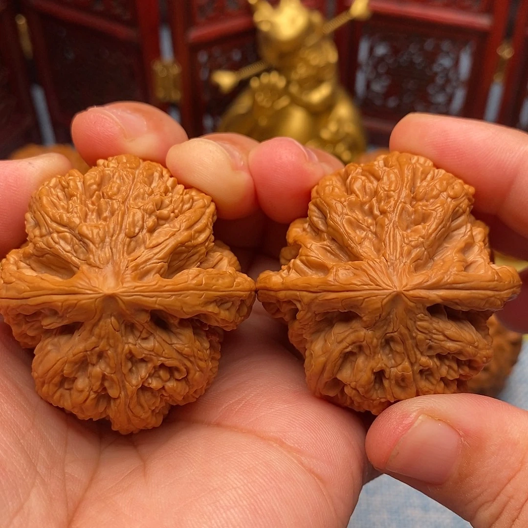 把件文玩核桃45精品毕业粗筋