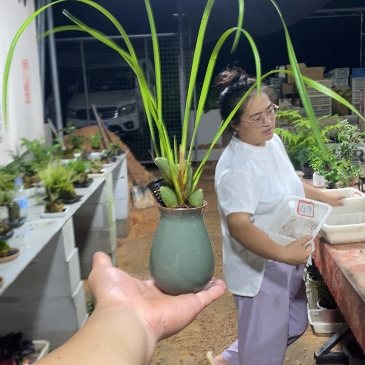 ༺****༻退款拉黑一物一拍49