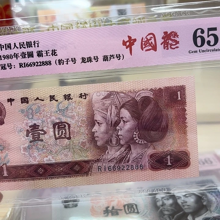 中国龙龙珠号豹子888