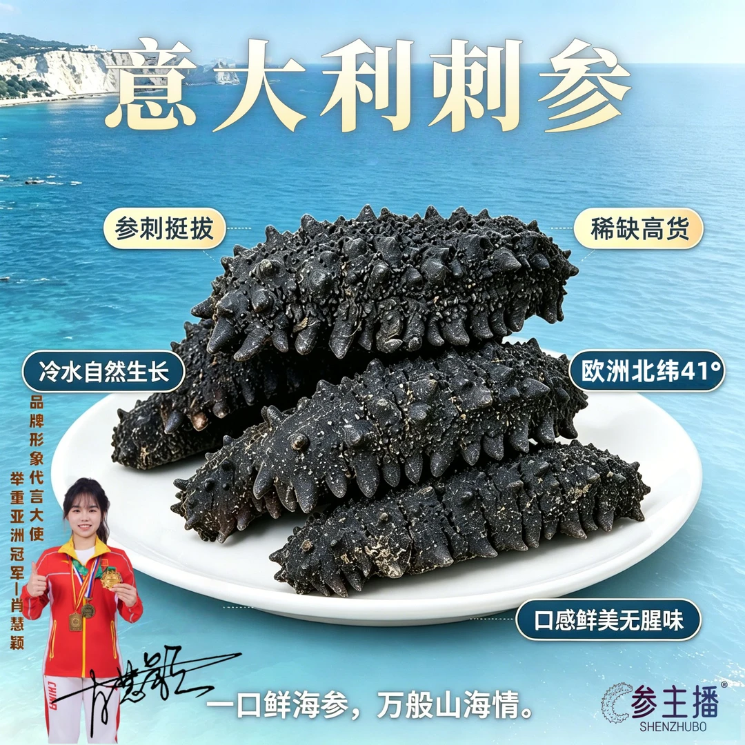 shenzhubo/参主播【35头】意大利西西里岛刺参纯淡干深海冷水刺参