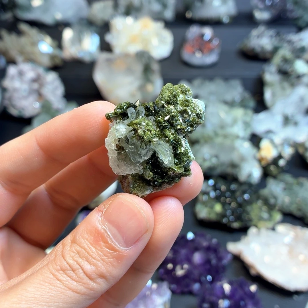 有机玻璃绝美花园