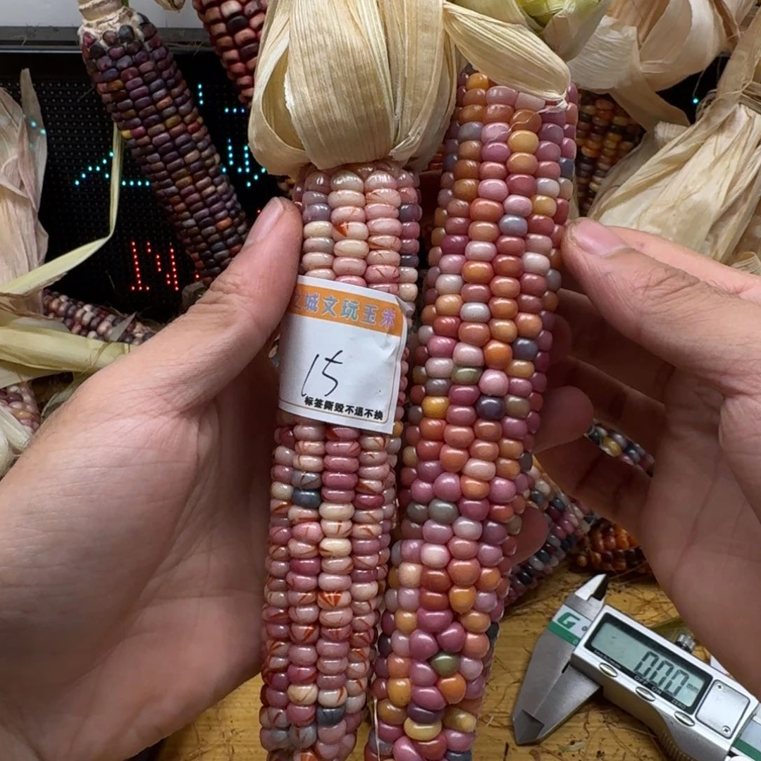 米****柏香籽/百香籽吊坠