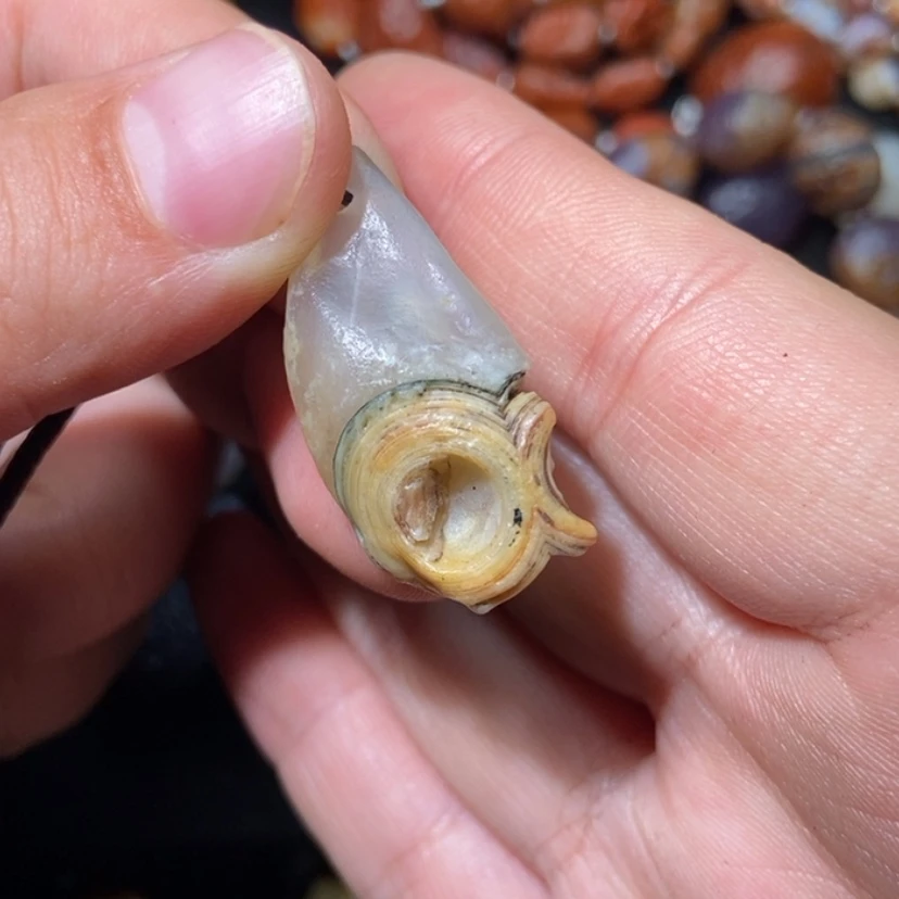 【闪购商品】玛瑙/玉髓项圈合金锋****起