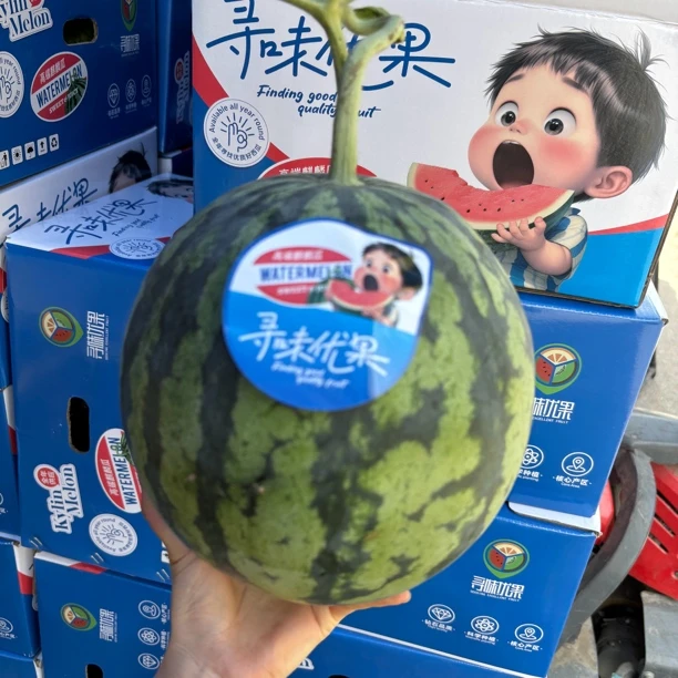 【寻味优果】麒麟西瓜（甜蜜多汁）陕西省内可拍