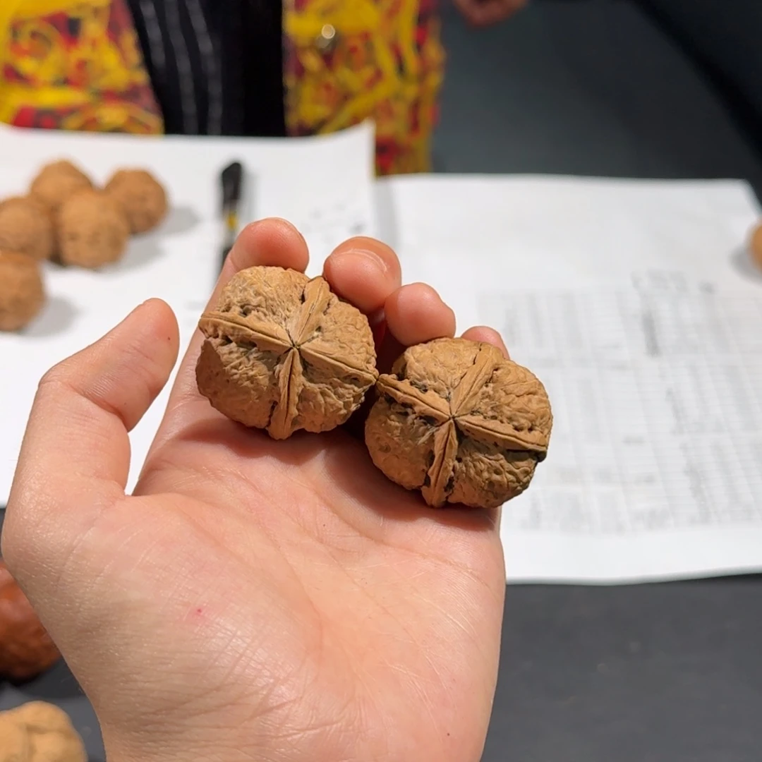 文玩核桃把件183号萌萌包四棱