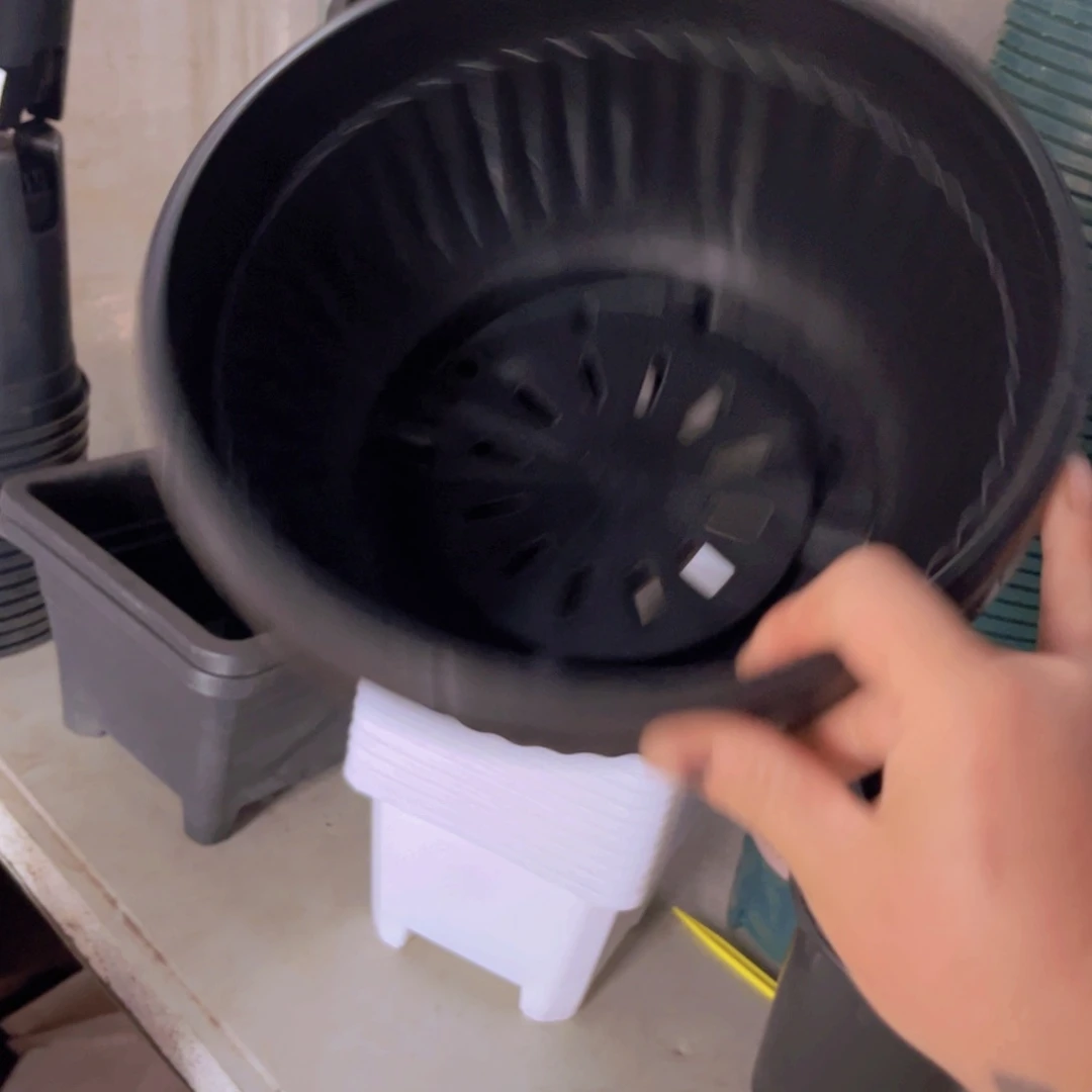 塑料24公分黑聚宝盆5个