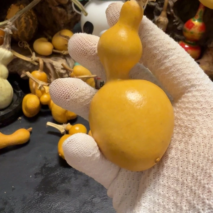 瑞***禄666666666666666666