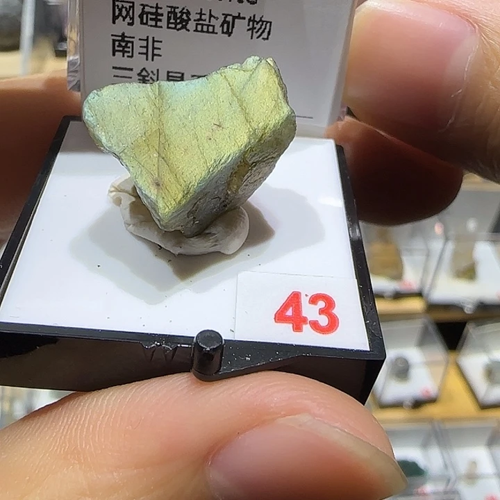 银S925灰月光宝宝宝宝