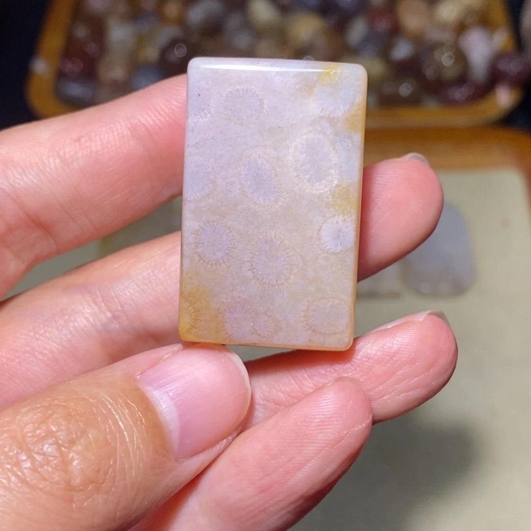 【闪购商品】硅化玉颈饰未镶嵌