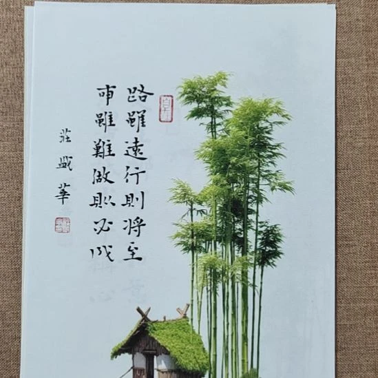 书法庄盛华书法作品