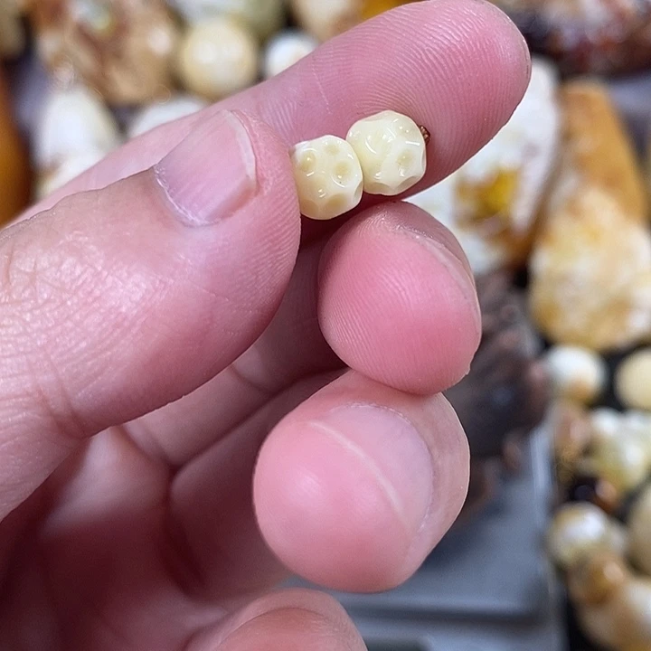 裸石琥珀未镶嵌我