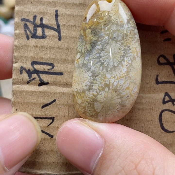 硅化珊瑚（珊瑚玉）颈饰未镶嵌游**风