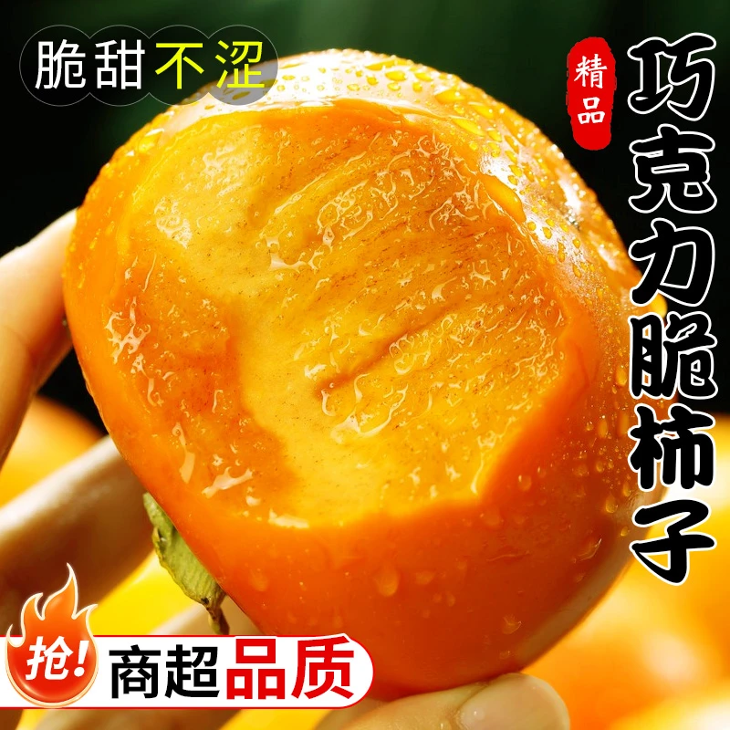 【陕西阳丰冰糖心巧克力脆柿】冰糖心脆甜不涩变黄削皮食用新鲜水果