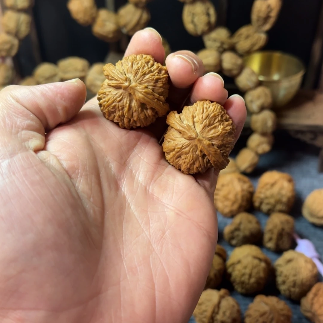 文玩核桃把件白狮子手捻36尺全品