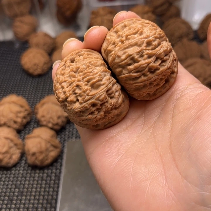 腿***羊白狮子矮众红皮核桃核桃