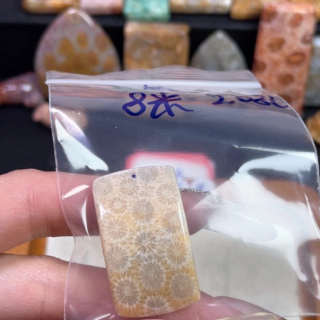 硅化珊瑚（珊瑚玉）吊坠未镶嵌
