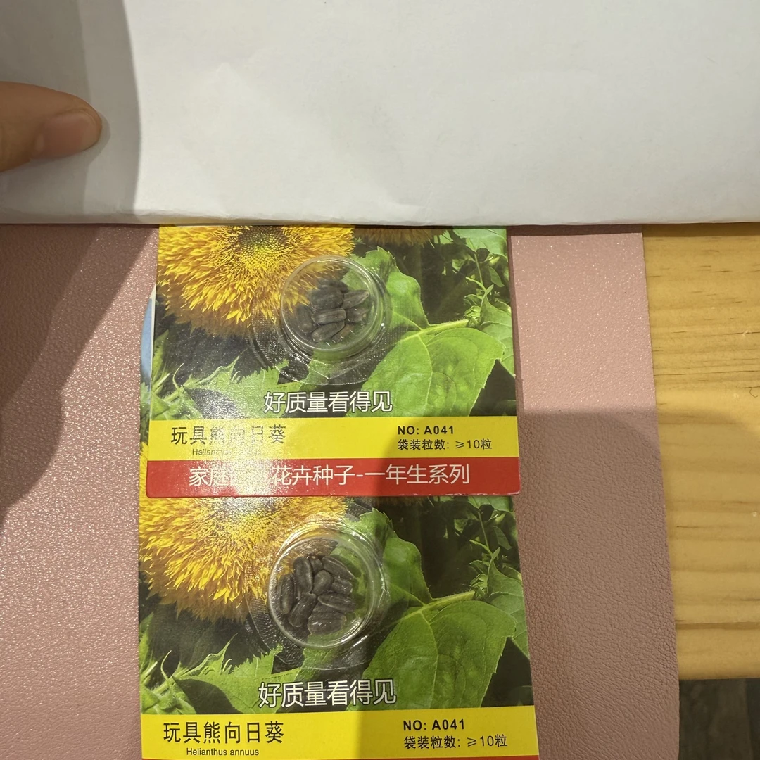 荷*兰*花*海*花园种子备注满15元包邮