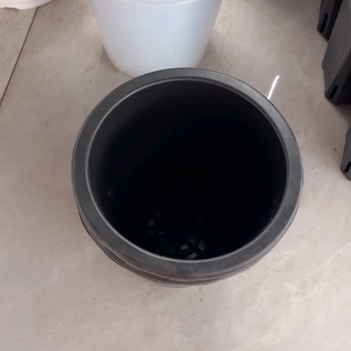 黑万象口17高19一组10个