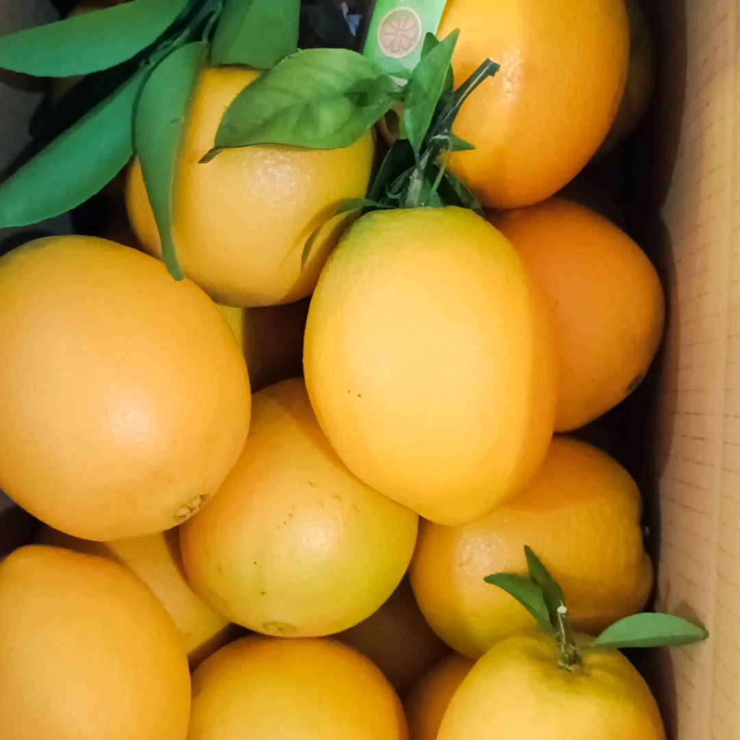 正宗江西赣南脐橙当季新鲜水果香甜多汁橙香味浓