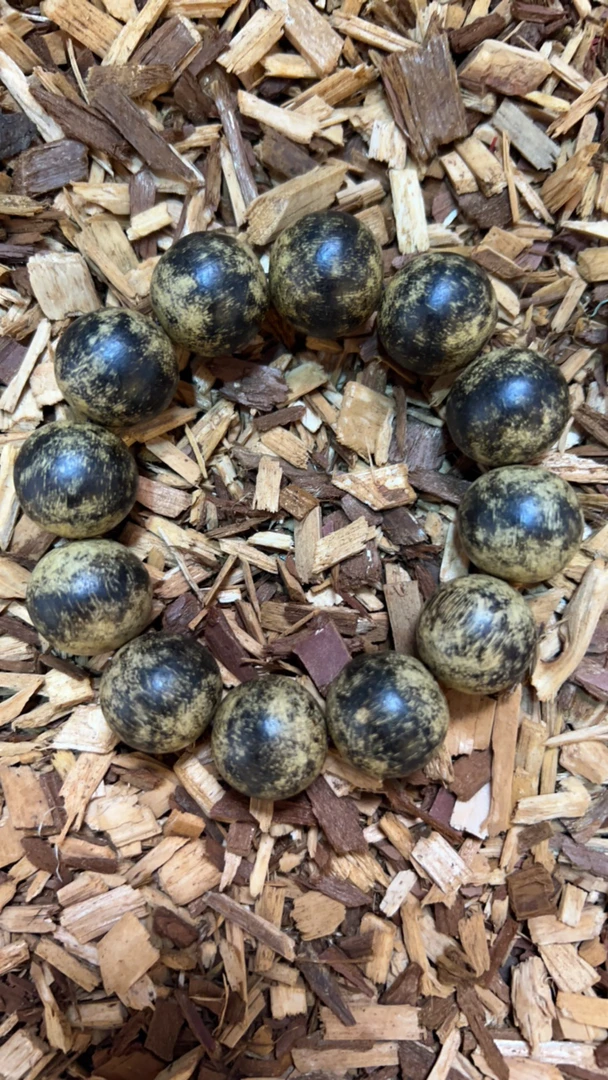 沉香x32 福莱精选高端文玩