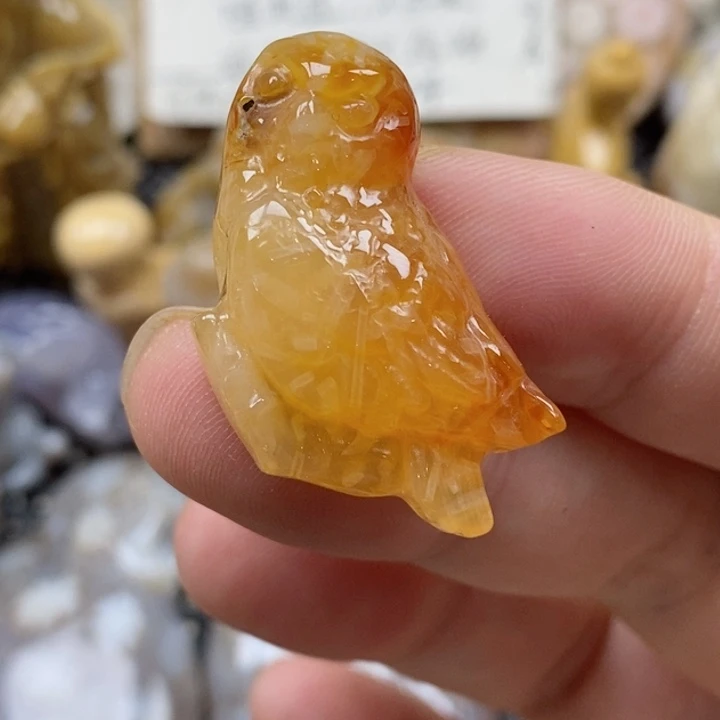 颈饰未镶嵌硅化珊瑚（珊瑚玉）有瑕 小