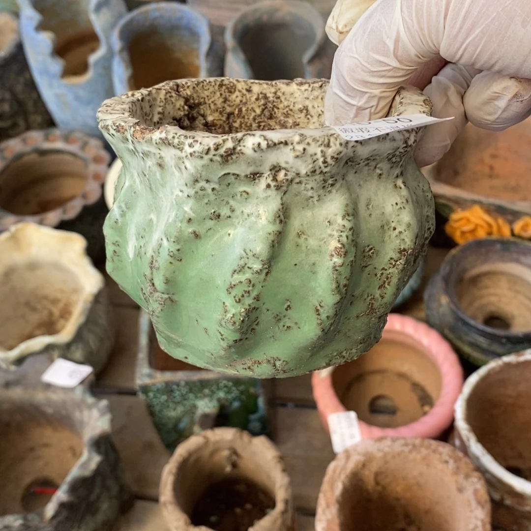 红陶小*50号多肉盆一个呀