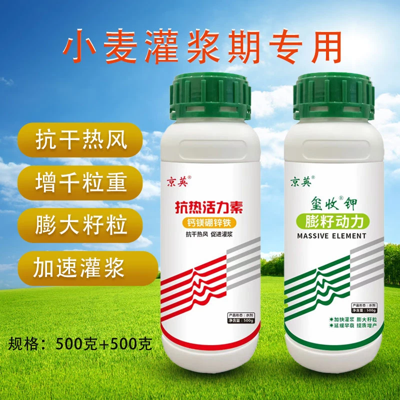 小麦灌浆抗热活力素膨籽动力抗干热风籽粒膨大增千粒重叶面肥
