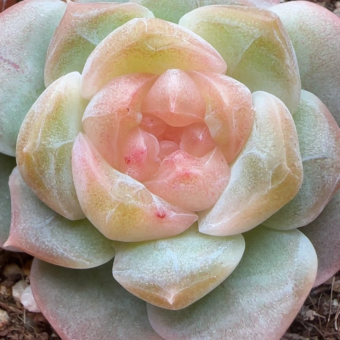 【满29包邮非偏远】740福利