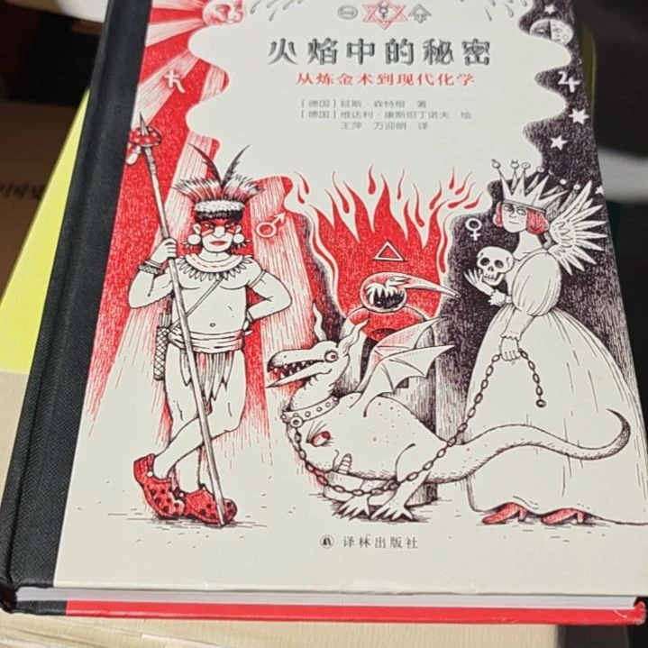 火焰中的秘密精装（务必塑封）