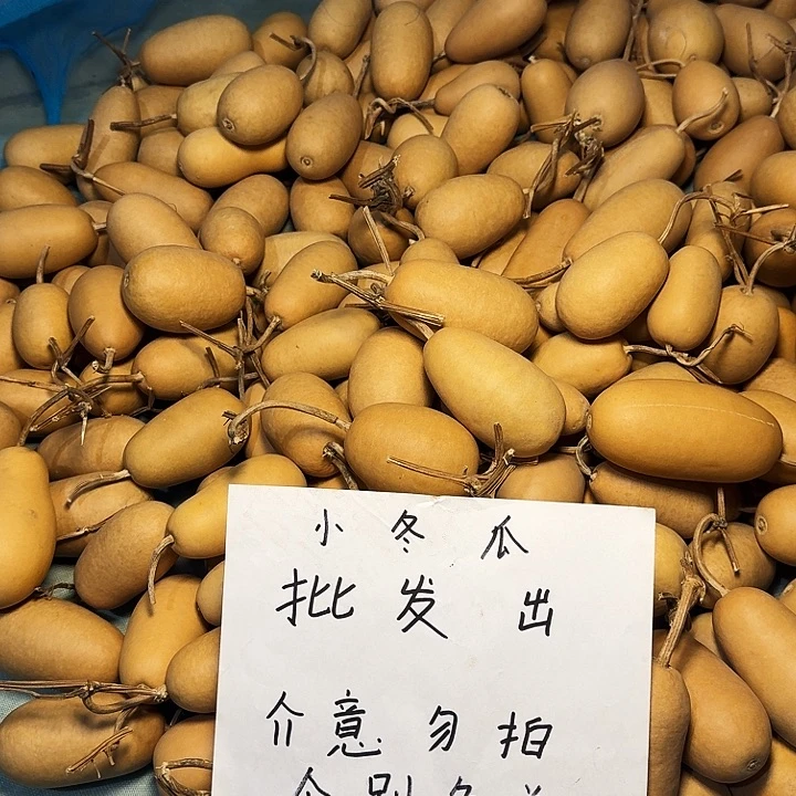 葫芦冬瓜专属链接