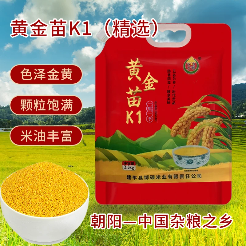 文硕2025年秋收新米东北辽宁朝阳黄金苗 K1 小米工厂直发安全放心