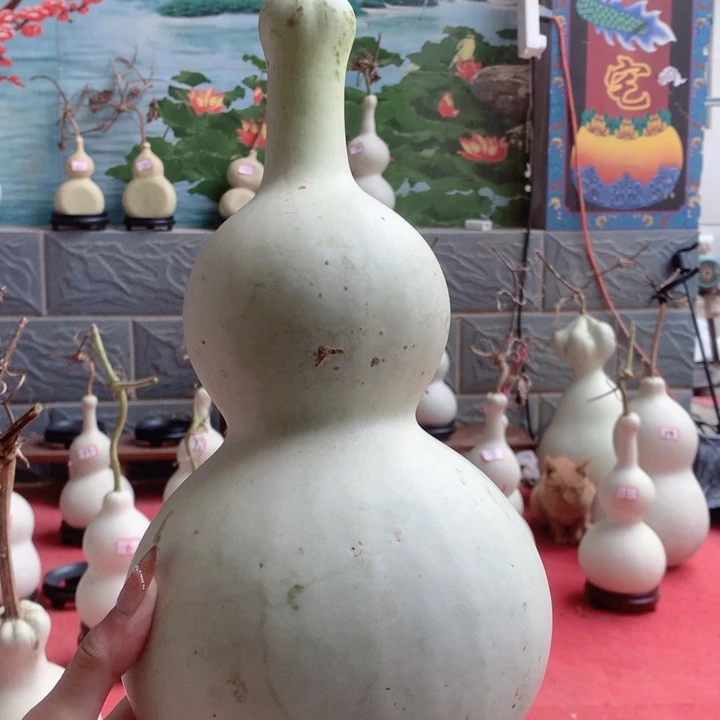 0***8中号尺寸的秒杀价格