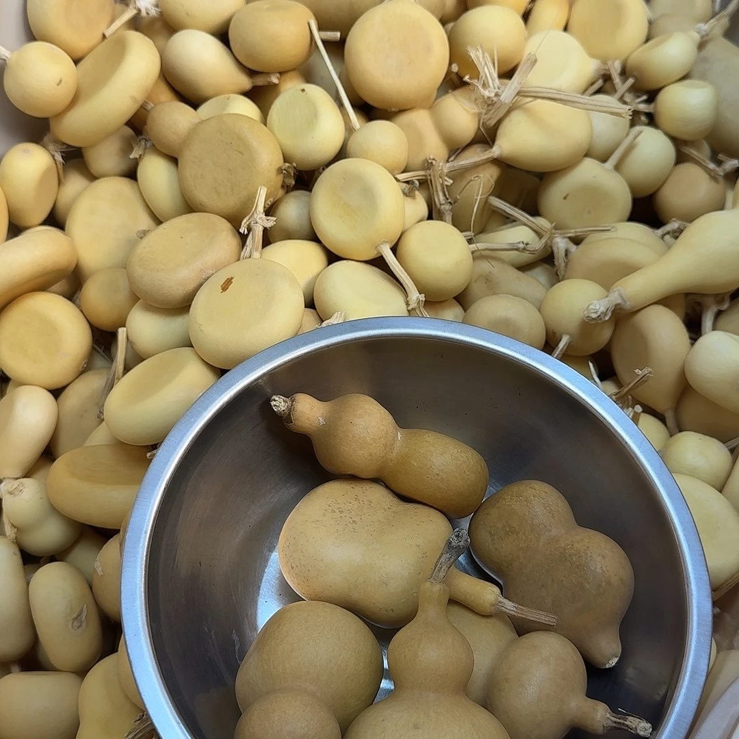 易***）直播间专属葫芦链接20