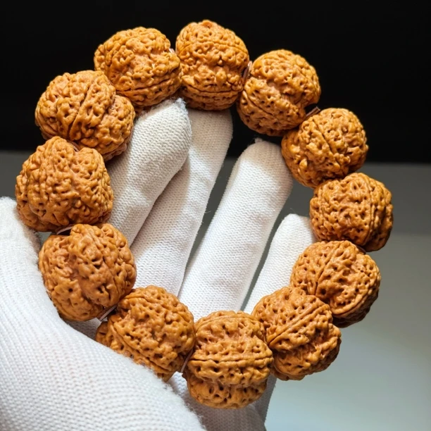 A324新品龙爪梅花大金刚五瓣粗筋双龙文玩大金刚菩提手串