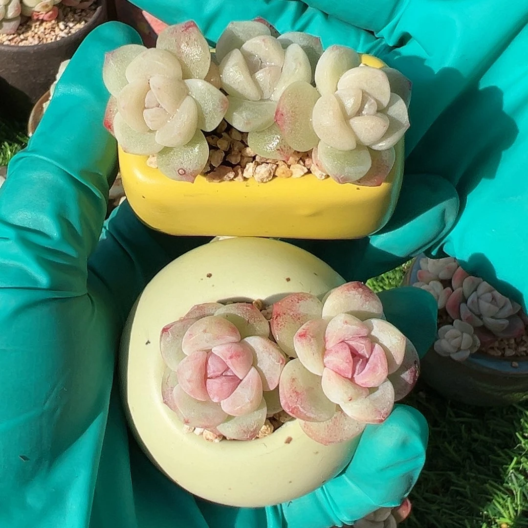 cmbbbbbhbbbbbbbbbbbbbj