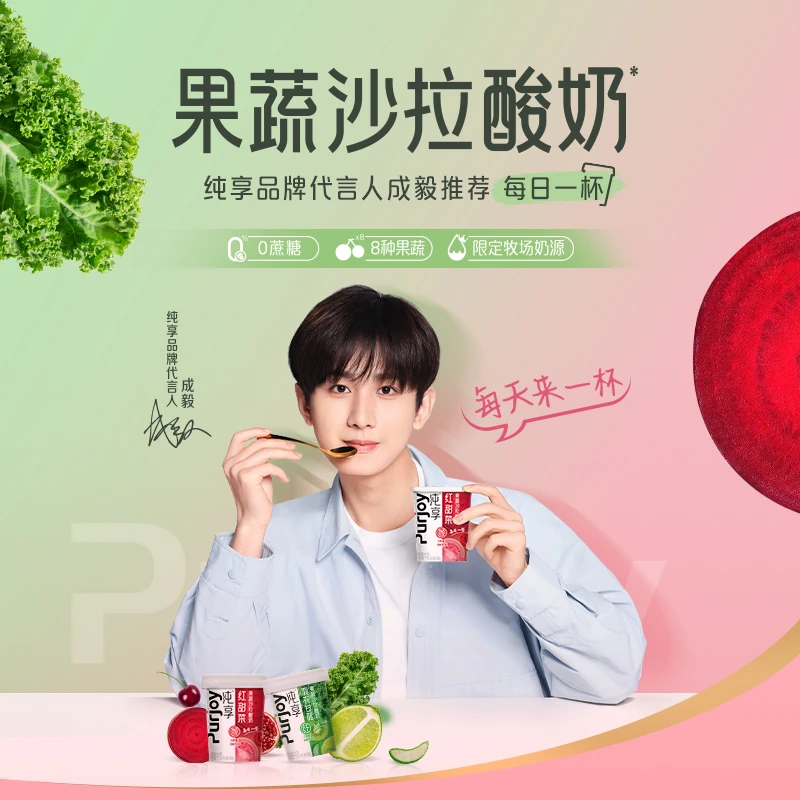7月6日到期 【成毅代言】君乐宝纯享果蔬沙拉酸奶300g 0蔗糖羽衣甘蓝红甜菜 发1杯