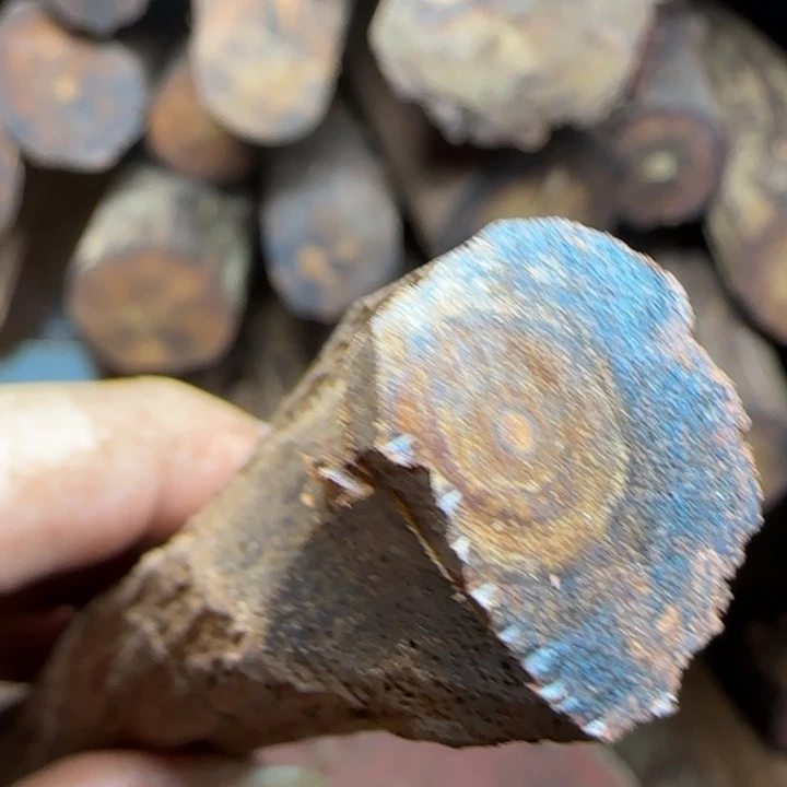 雨***天木降真香原料私人定制