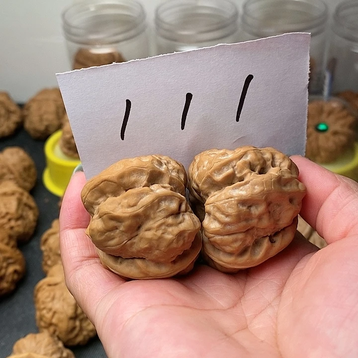 6***6我在你心里就是一