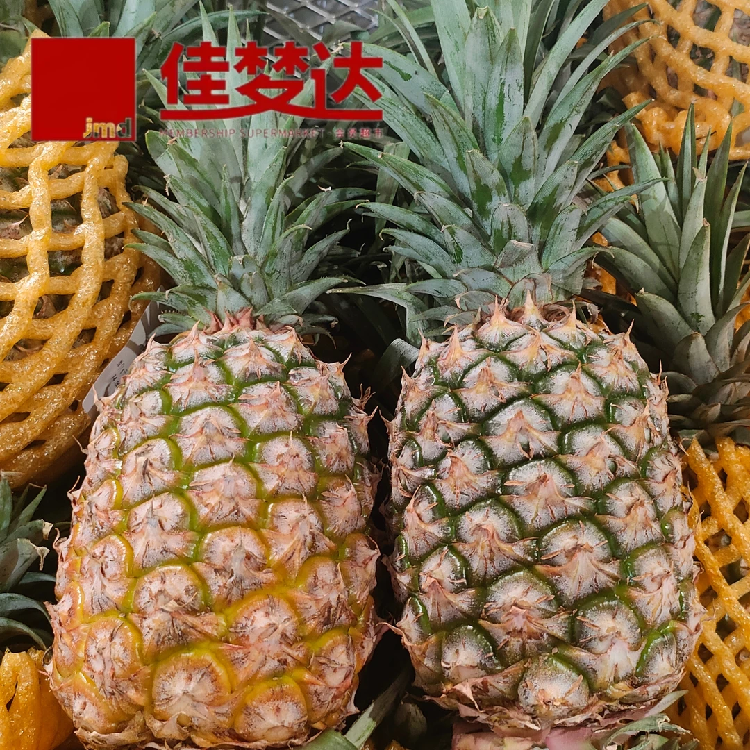 金钻凤梨两枚1.5KG~1.8KG