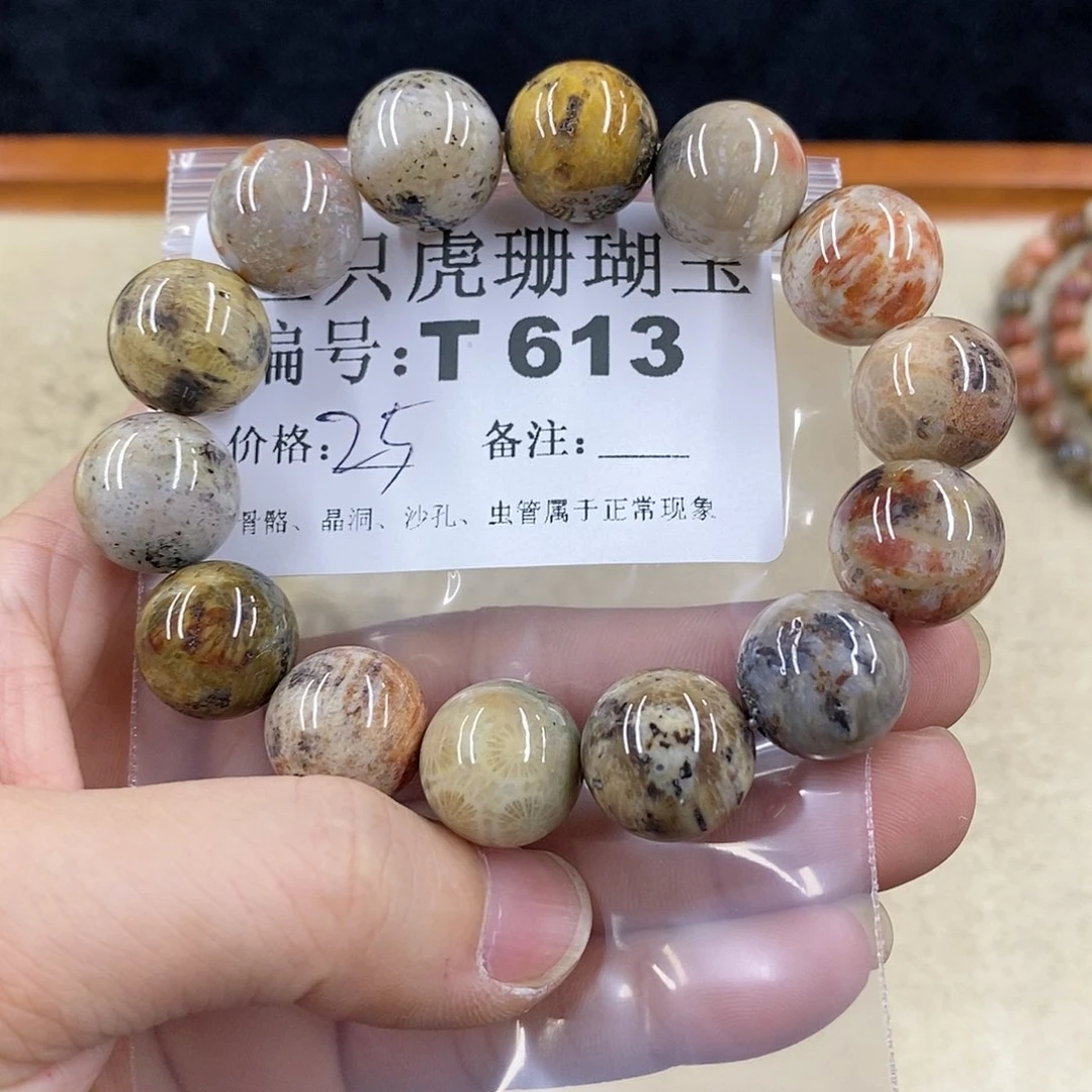 硅化珊瑚（珊瑚玉）1未镶嵌星**