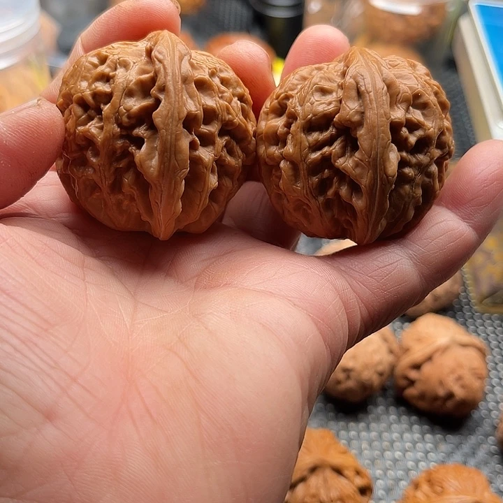 把件桃核红锦鲤边40肚44