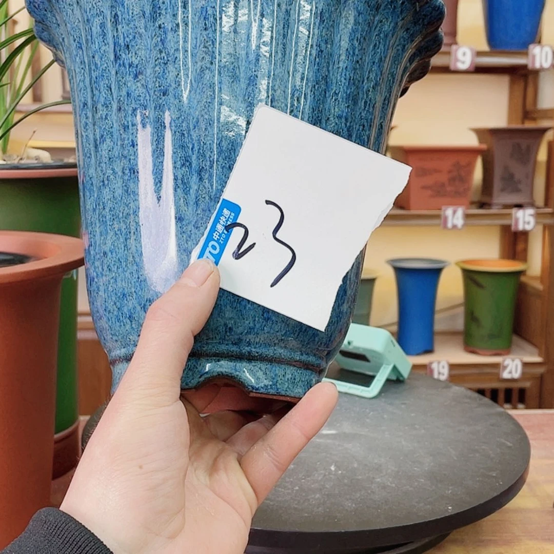 【闪购商品】紫砂花盆追*兰花7555855558856588