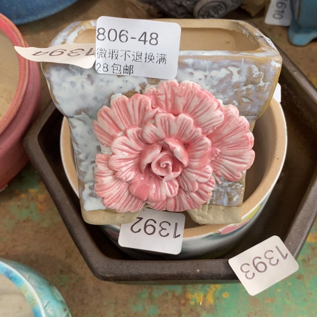 48号花盆内8高8.5