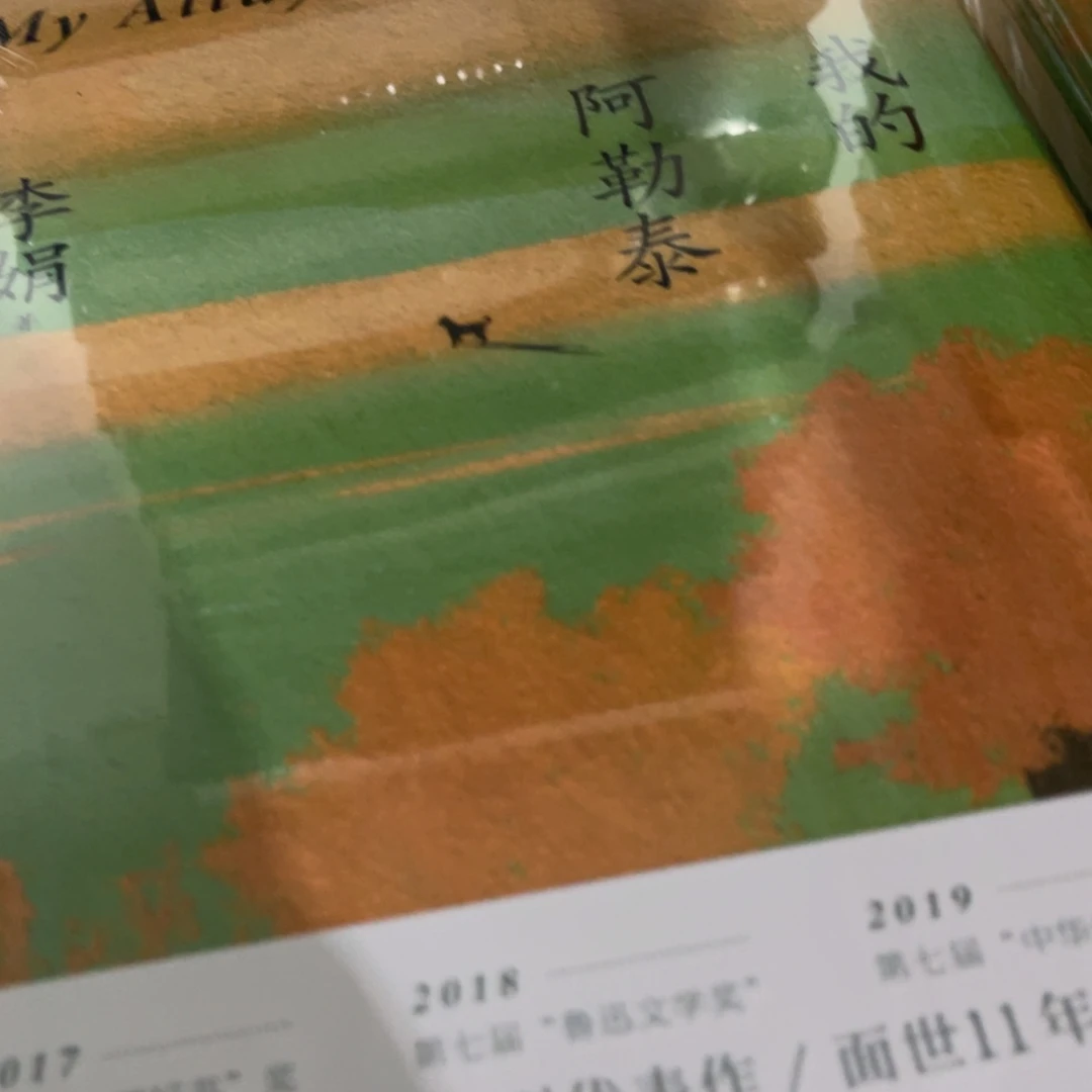 我的阿勒泰精装一个