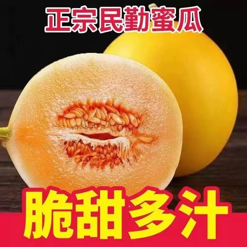 甘肃民勤沙漠蜜瓜新鲜应季时令水果香甜多汁