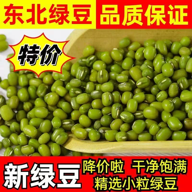 东北绿豆农家自产颗粒饱满煮粥发豆芽绿豆汤材料