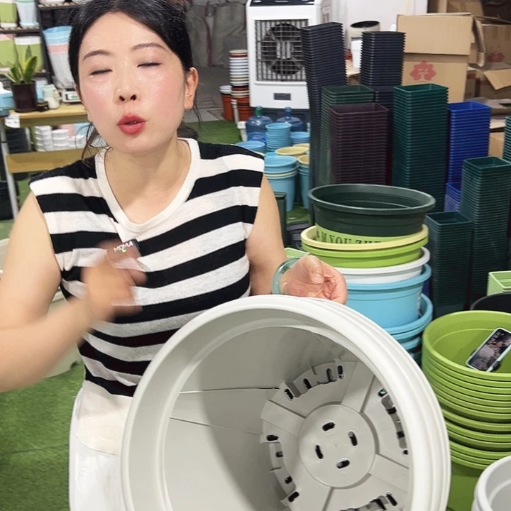 青山口40高34灰白3只无托