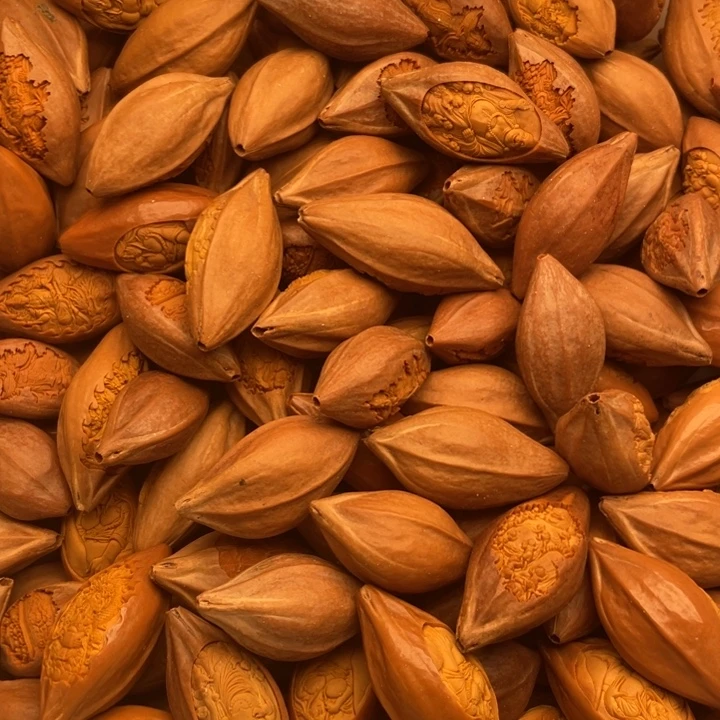 手串/手链橄榄核随意一把抓各种题材